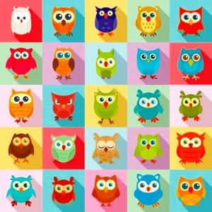 Meet your Posher, Callie